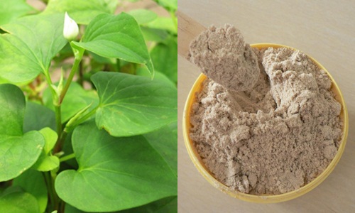 Trộn rau diếp cá với cám gạo thoa lên da 5 phút điều kỳ diệu sẽ xảy ra