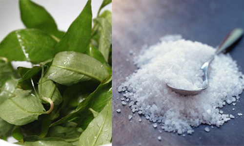 Lỗ chân lông to đến mấy cũng khít hẳn đi nhờ 1 nắm rau răm