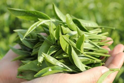 Đập tan mỡ bụng chỉ với một cái ‘búng tay’ hiệu quả ngay
