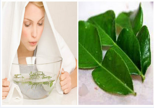 3 công dụng làm đẹp bất ngời của lá chanh