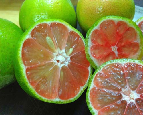 Giảm cân bằng chanh cực kỳ hữu hiệu ngay tại nhà