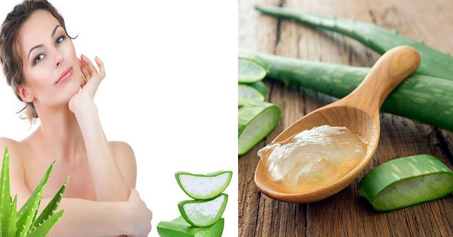‘Đẩy lùi’ nám đơn giản nhờ lô hội, chị em phụ nữ ‘mê mẩn’, được chồng yêu chiều hơn