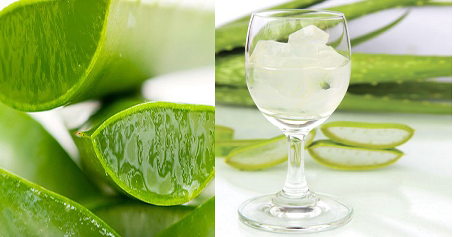 Da sáng đẹp tự nhiên chỉ với 1 cốc nha đam tươi mát mỗi ngày