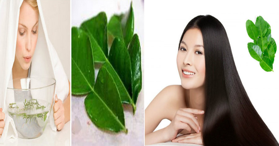 3 công dụng làm đẹp từ lá chanh mà bạn không thể ngờ tới