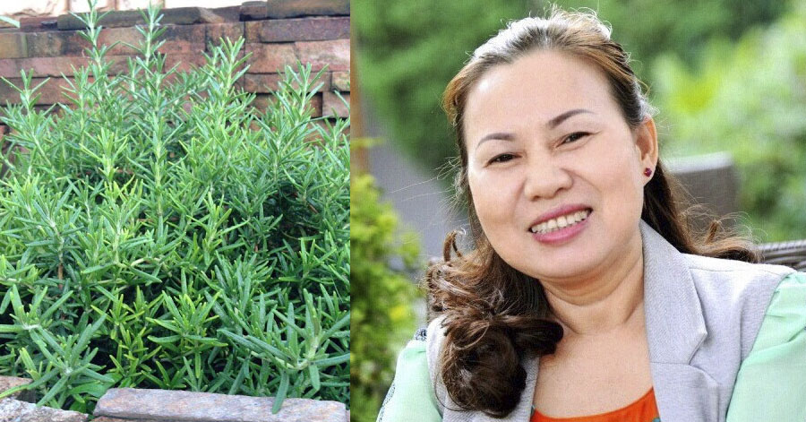Chẳng có người chồng nào muốn vợ mình bị NÁM, chẳng có người phụ nữ nào không khỏi chạnh lòng với cảm giác TUỔI GIÀ CẬN KỀ