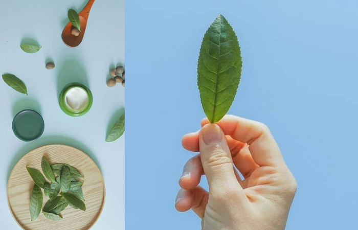 TOP 5 NGUYÊN LIỆU LÀM ĐẸP TỪ NHẬT BẢN ĐƯỢC YÊU THÍCH NHẤT