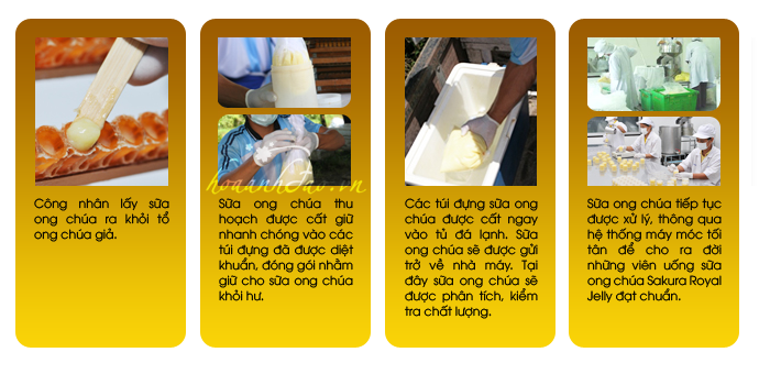 sua-ong-chua-sakura-royal-jelly-premium