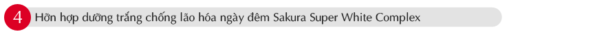 bo-kem-duong-chong-lao-hoa-phuc-hoi-da-sakura-hoaanhdaovn