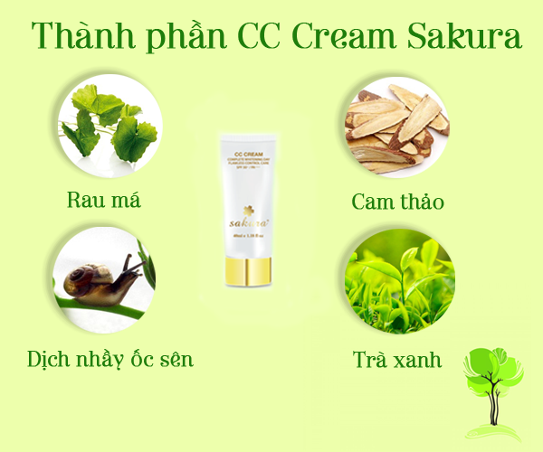 thanh phan cc cream