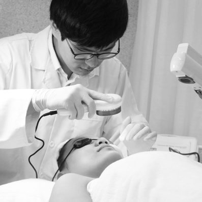 giới thiệu Hoa Anh Đào