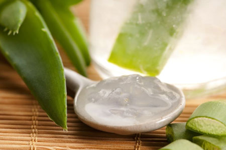 dưỡng da với lô hội