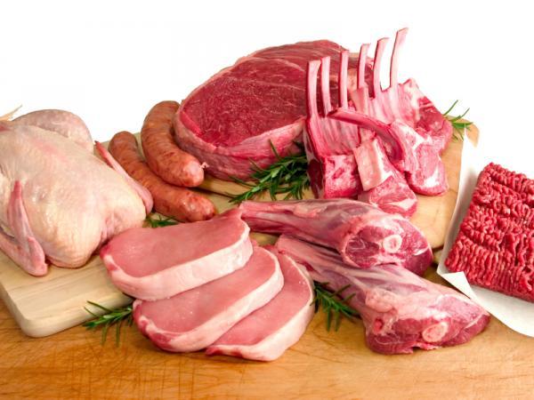 cung cấp protein